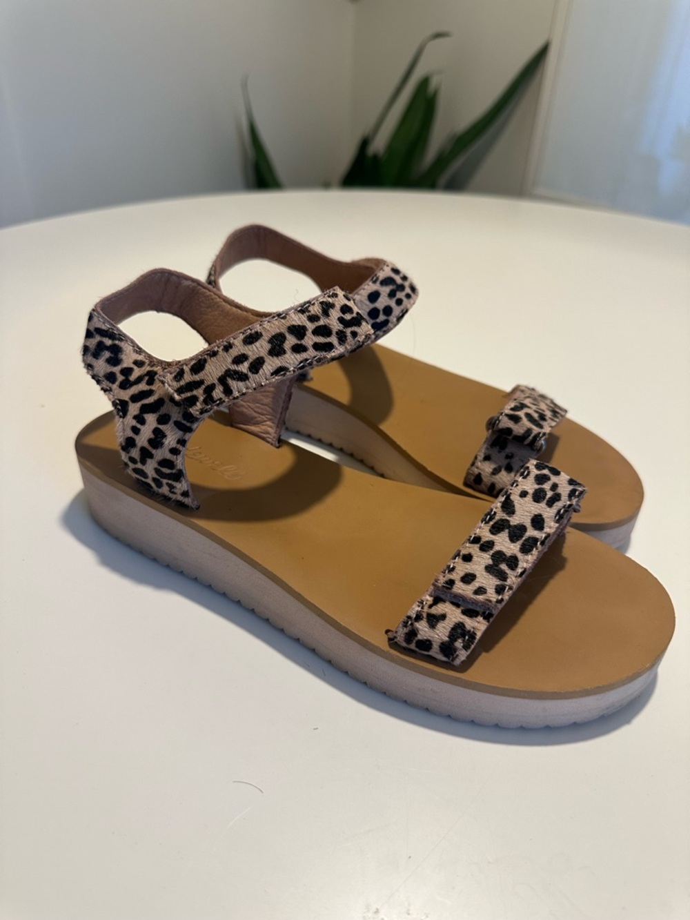Madewell woman’s leopard print ankle strap open toe sandals size 7